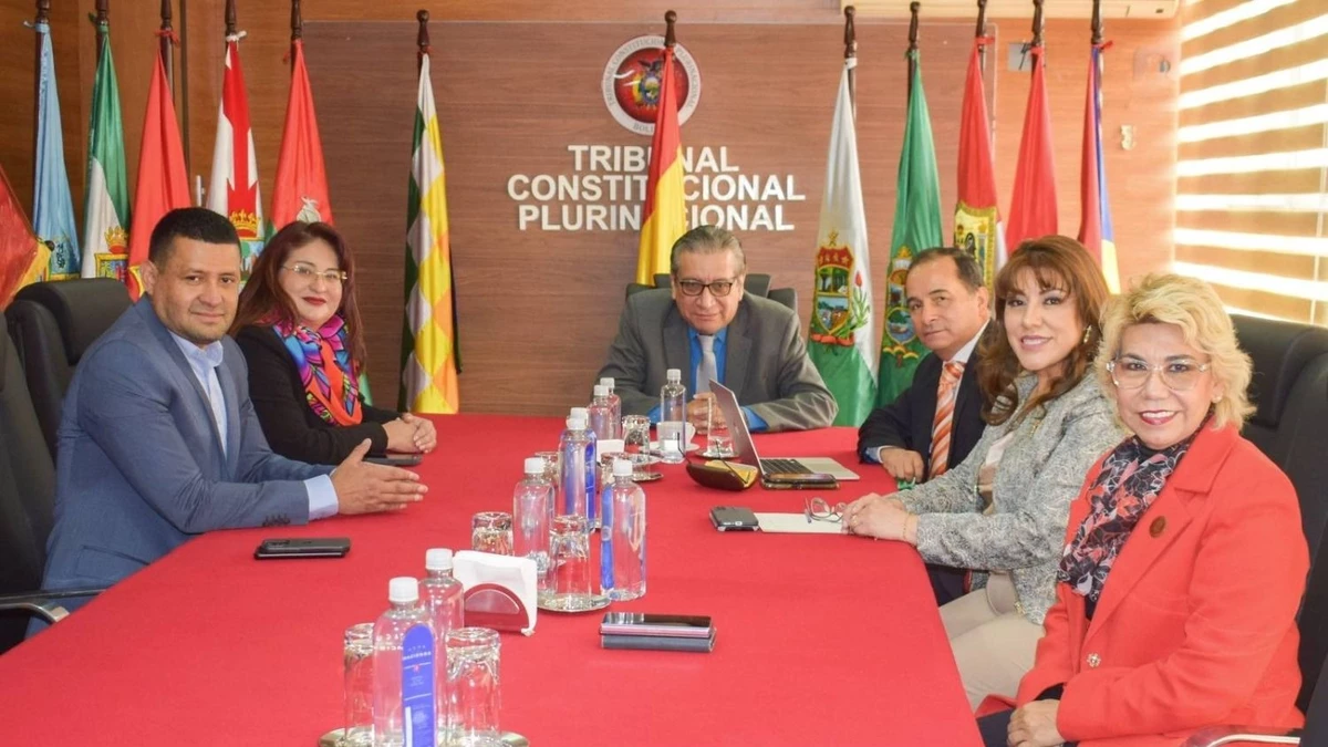 Magistrados del TCP disponen la «finalización» de la prórroga
